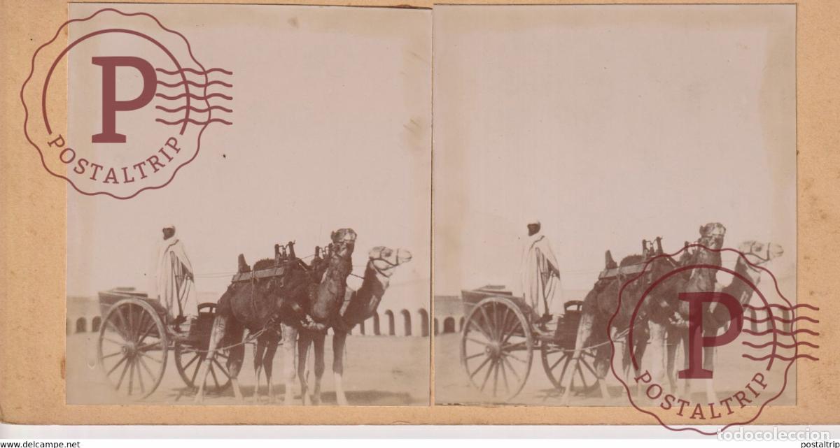 Fotografia antica: AFRIQUE AFRICA ESTEREOSCOPICA. ST&Eacute;R&Eacute;OSCOPIQUE. STEREOSCOPIC