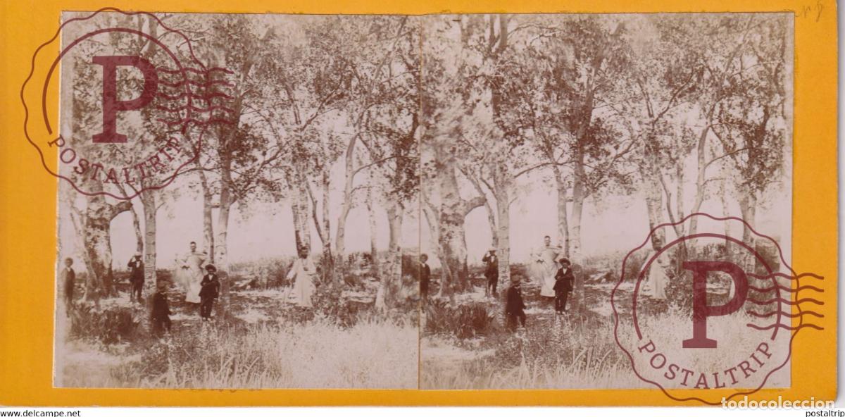 Fotografia antiga: PERES BLANC BOSQUE OUPERRE ARGELIA AFRICA AFRIQUE ESTEREOSCOPICA ST&Eacute;R&Eacute;OSCOPIQUE. STEREOSCOPIC