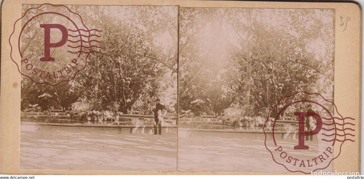 Fotografia antiga: JARDIN DESSAI PRES ALGER ALGERIA AFRICA AFRIQUE ESTEREOSCOPICA ST&Eacute;R&Eacute;OSCOPIQUE. STEREOSCOPIC