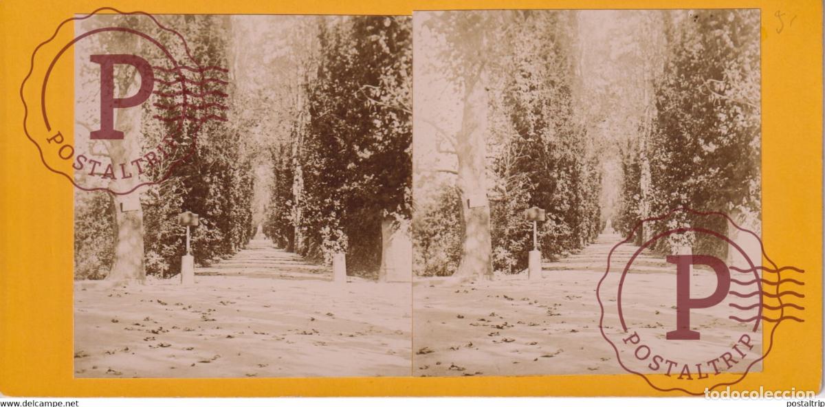 Fotografia antiga: JARDIN DESSAI PRES ALGER ALGERIA AFRICA AFRIQUE ESTEREOSCOPICA ST&Eacute;R&Eacute;OSCOPIQUE. STEREOSCOPIC