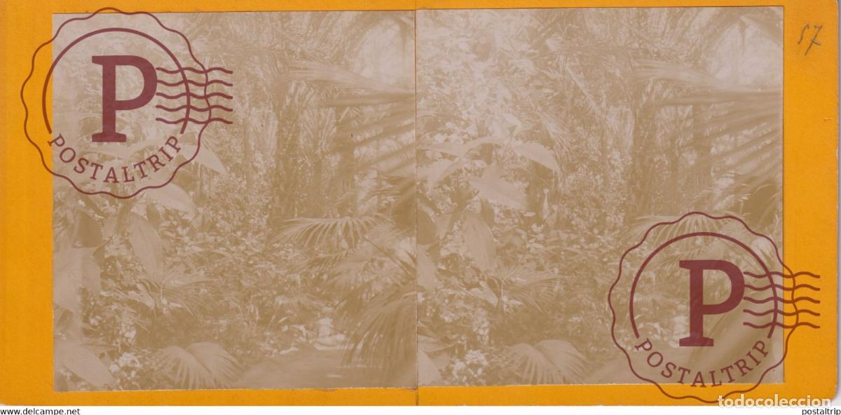 Fotografia antiga: ALGER ALGERIA AFRICA AFRIQUE ESTEREOSCOPICA ST&Eacute;R&Eacute;OSCOPIQUE. STEREOSCOPIC