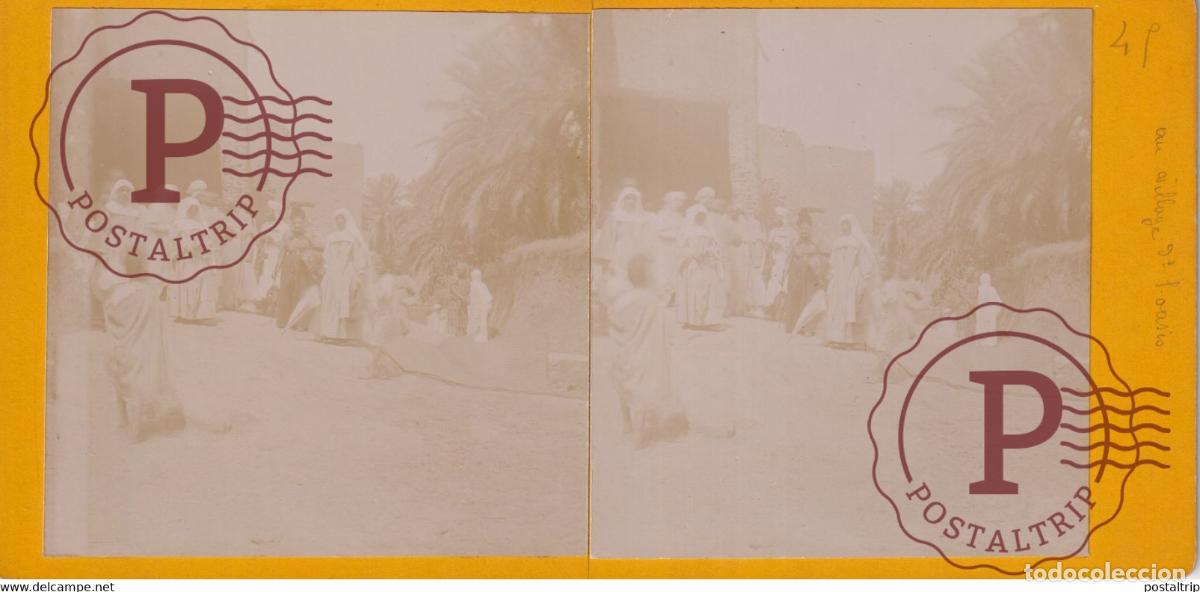 Fotografia antiga: Alg&eacute;rie LOASIS ROUTE A BISKRA ALGERIA AFRICA AFRIQUE ESTEREOSCOPICA ST&Eacute;R&Eacute;OSCOPIQUE. STEREOSCOPIC