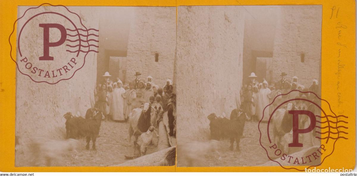 Fotografia antiga: Alg&eacute;rie INTERIEUR DOASIS ROUTE A BISKRA ALGERIA AFRICA AFRIQUE ESTEREOSCOPICA ST&Eacute;R&Eacute;OSCOPIQUE. STE