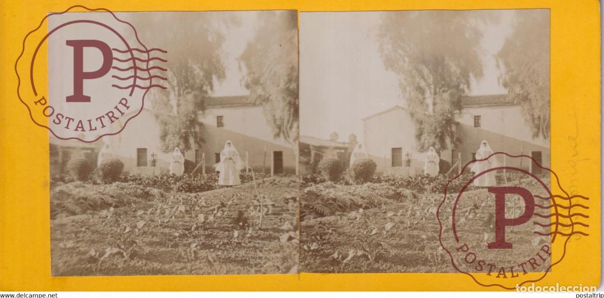 Fotografia antiga: Alg&eacute;rie ST MONIQUE ALGERIA AFRICA AFRIQUE ESTEREOSCOPICA ST&Eacute;R&Eacute;OSCOPIQUE. STEREOSCOPIC