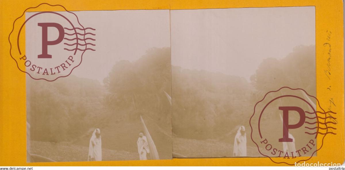Fotografia antiga: Alg&eacute;rie PAYSAGE BIRMANDEES ALGERIA AFRICA AFRIQUE ESTEREOSCOPICA ST&Eacute;R&Eacute;OSCOPIQUE. STEREOSCOPIC