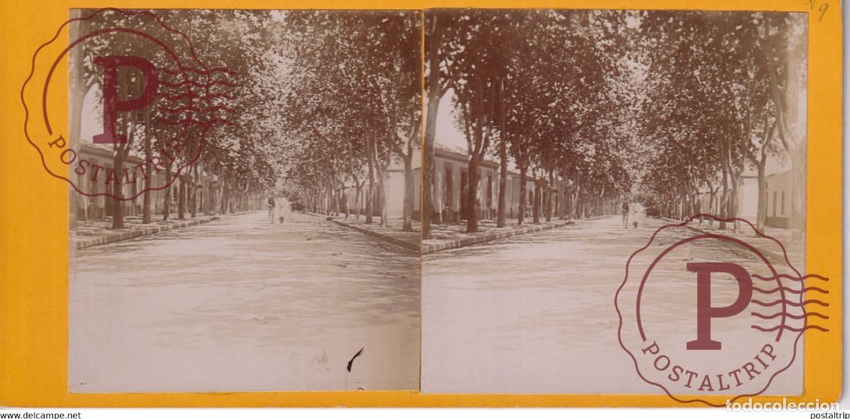 Fotografia antiga: Alg&eacute;rie RUE PRINCIPALE DE DUPERRE ALGERIA AFRICA AFRIQUE ESTEREOSCOPICA ST&Eacute;R&Eacute;OSCOPIQUE. STEREOSCO