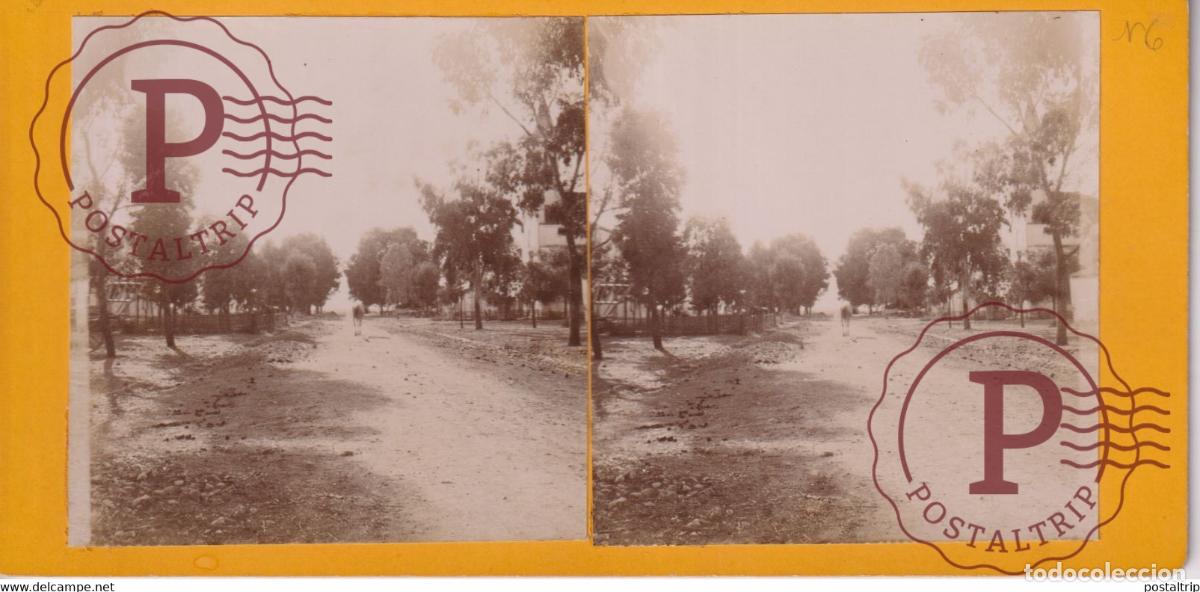 Fotografia antiga: Alg&eacute;rie BASSE GRANDE RUE ST MONIQUE ALGERIA AFRICA AFRIQUE ESTEREOSCOPICA ST&Eacute;R&Eacute;OSCOPIQUE. STEREOSC