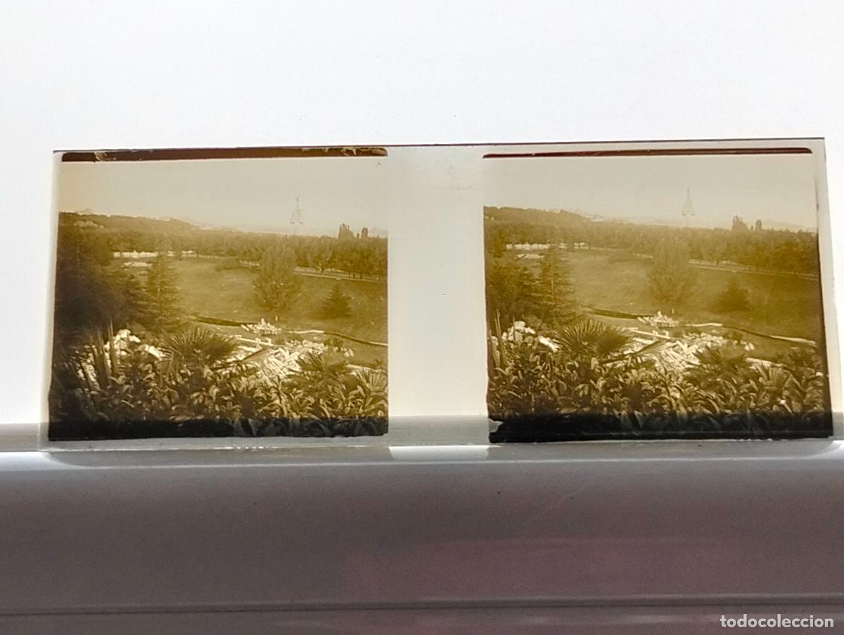 Fotografia antiga: MADRID PARQUE DEL OESTE PLACA ESTEREOSCOPICA CRISTAL 4,5 X 10,5 CM