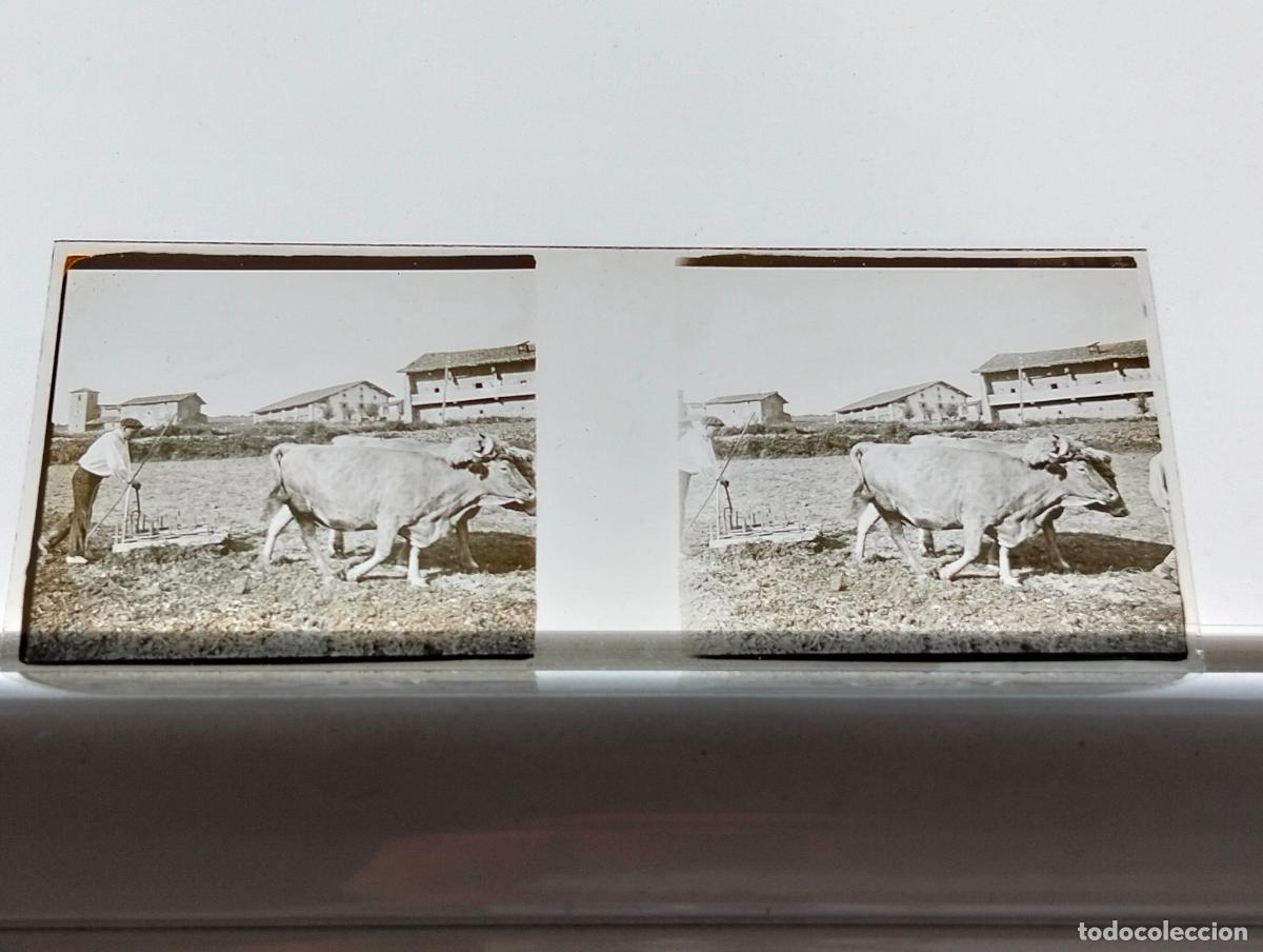 Fotografia antiga: ALBIZU SALVATIERRA ALAVA PLACA ESTEREOSCOPICA CRISTAL 4,5 X 10,5 CM