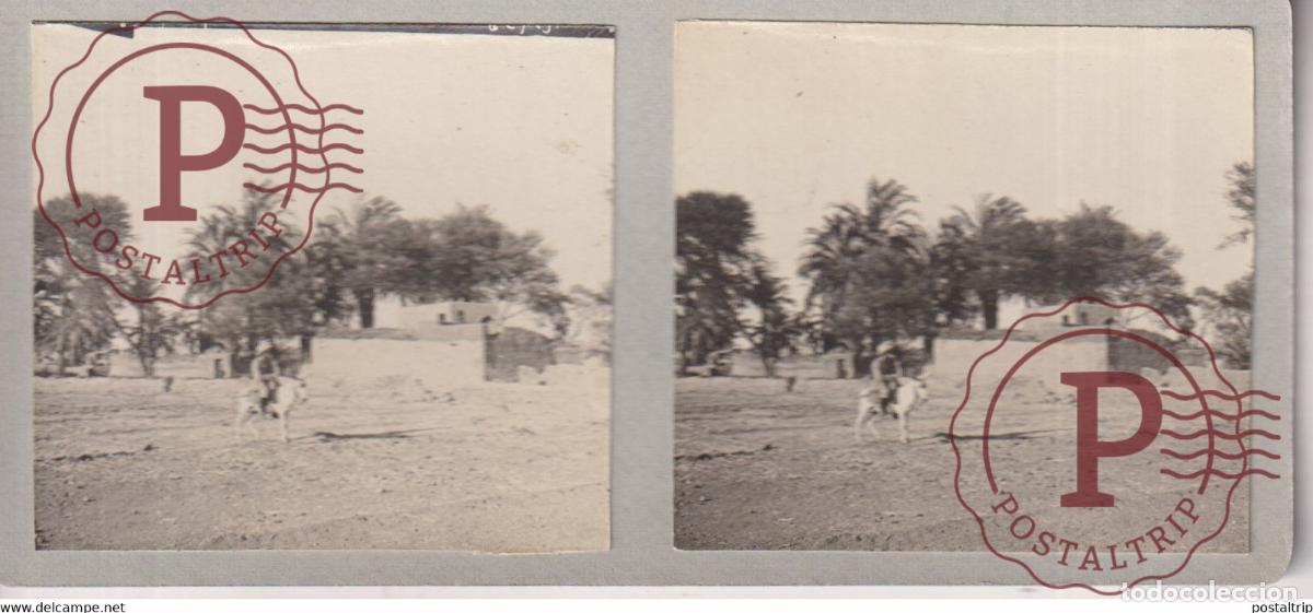 Fotograf&iacute;a antigua: PAYSAGE &Eacute;GYPTIEN TH&Eacute;BES EGYPTE EGYPT EGIPTO 13*6cm ESTEREOSCOPICA ST&Eacute;R&Eacute;OSCOPIQUE STEREOSCOP