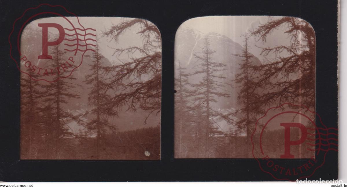 Fotograf&iacute;a antigua: Ponte from the Albula Alps SCHWEIZ SUIZA SUISSE +-17*9CM ESTEREOSCOPICA STEREOSCOPIC francestere