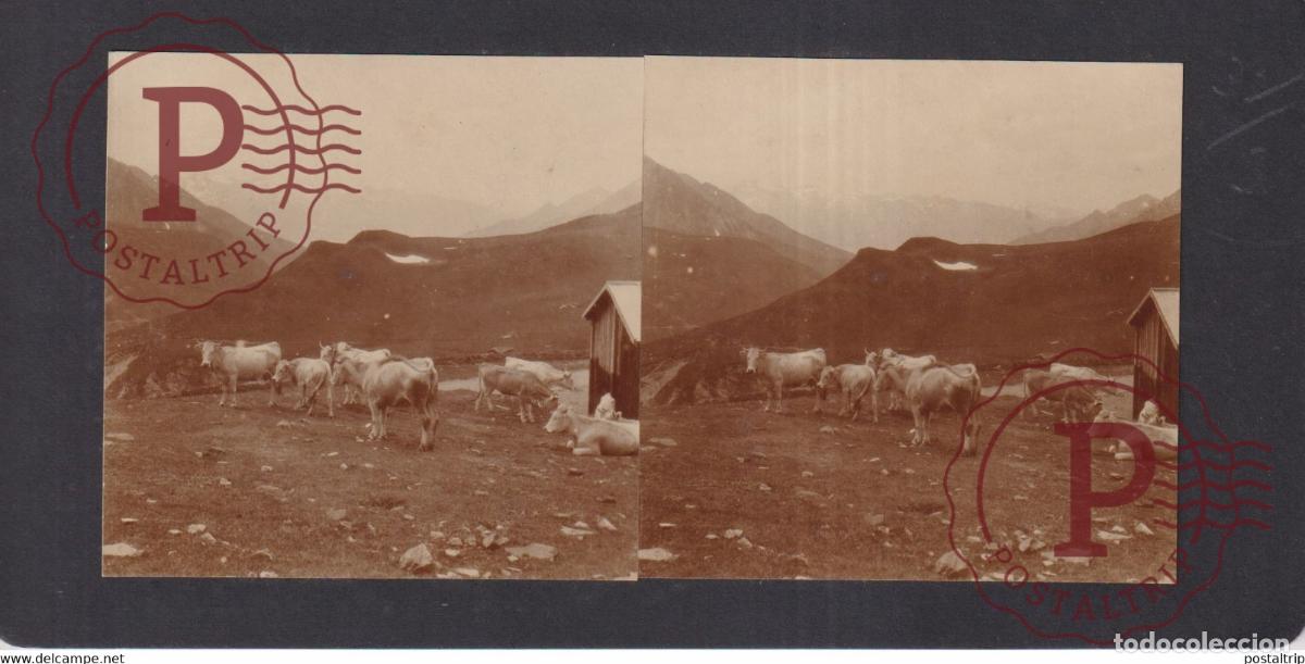 Alte Fotografie: Col dAspin FRANCE ALPES PYRENEES Hautes-Pyr&eacute;n&eacute;es +-17*9CM ESTEREOSCOPICA STEREOSCOPIC francestereo