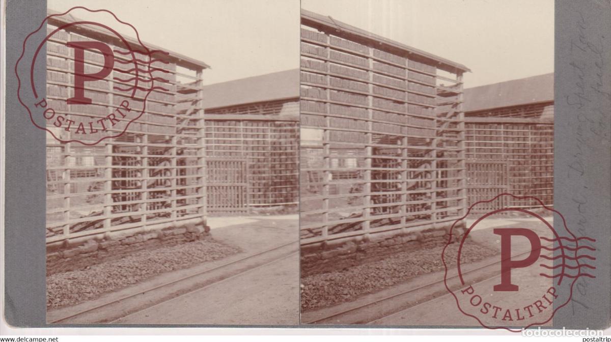 Fotograf&iacute;a antigua: drying spent tan tan yard +-17*9CM ESTEREOSCOPICA STEREOSCOPIC francestereo