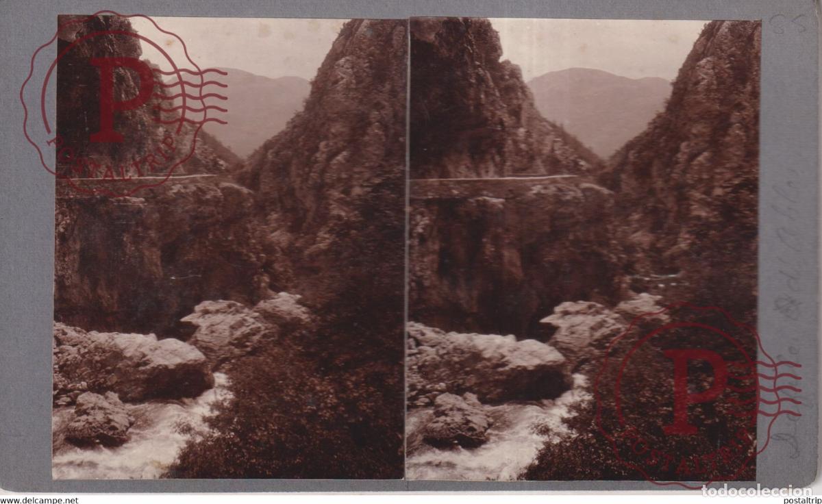 Fotograf&iacute;a antigua: DEFILE DALBE +-17*9CM ESTEREOSCOPICA STEREOSCOPIC francestereo