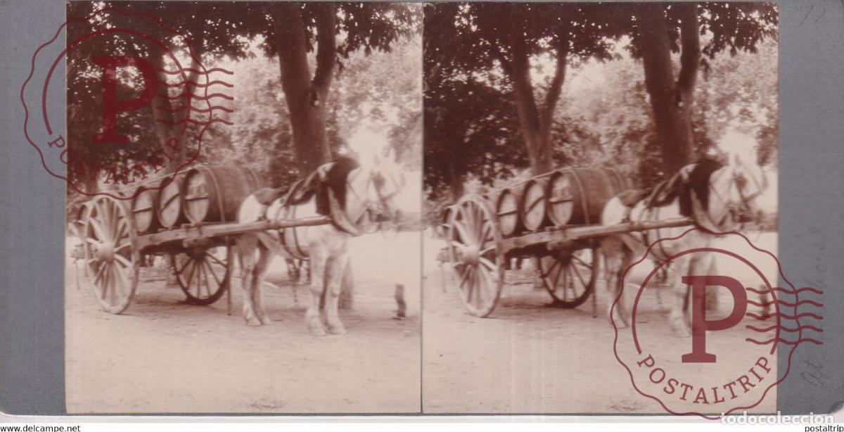 Alte Fotografie: Indre et Loire Amboise 37 CHEVAL HORSE CART ATTELAGE FRANCE +-17*9CM ESTEREOSCOPICA STEREOSCOPIC