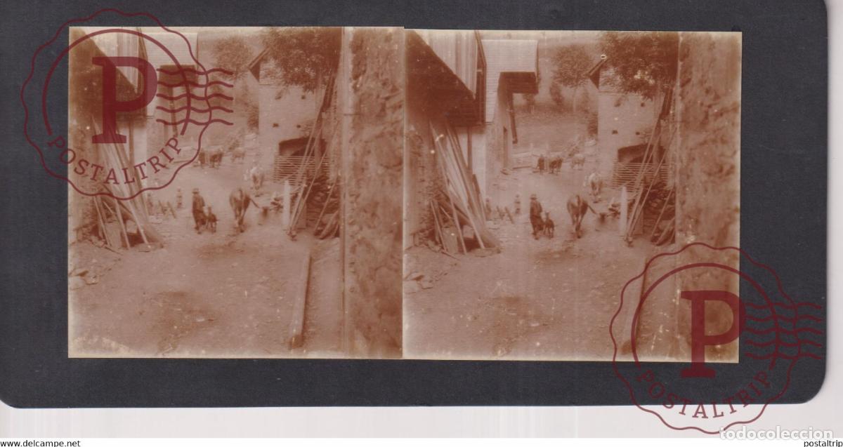 Fotograf&iacute;a antigua: ANE BURRO FRANCE +-17*9CM ESTEREOSCOPICA STEREOSCOPIC francestereo
