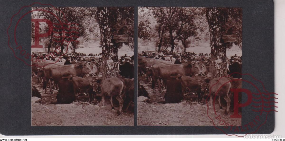 Fotograf&iacute;a antigua: MARCHE MARKET MERCADILLO GRAND VABRE AUVERGNE 12 Aveyron FRANCE +-17*9CM ESTEREOSCOPICA STEREOSCOP