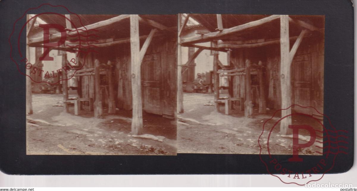 Photographie ancienne: CHEVAL CHEVAUX HORSE FRANCE +-17*9CM ESTEREOSCOPICA STEREOSCOPIC francestereo