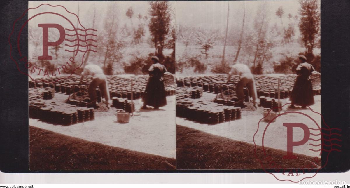 Photographie ancienne: C&eacute;vennes FRANCE +-17*9CM ESTEREOSCOPICA STEREOSCOPIC francestereo