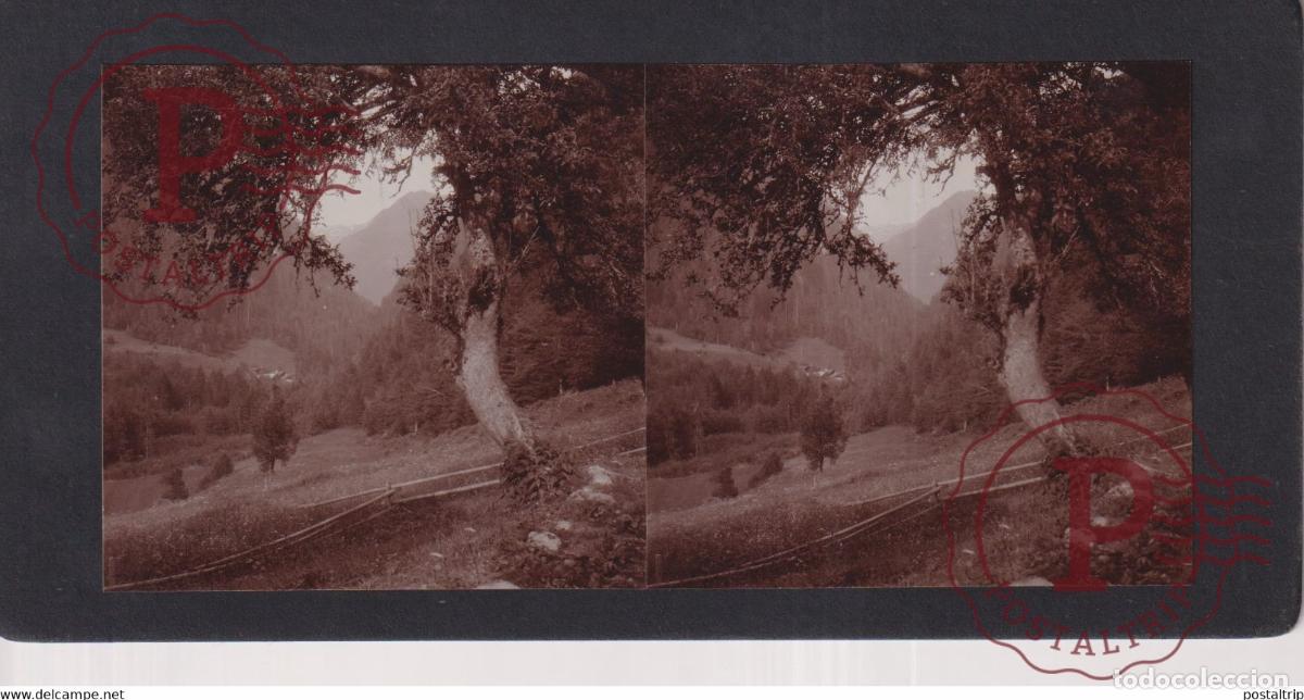 Antique Photography: VALL&Eacute;E ROSELEND 1929 BEAUFORT DORON CHAMONIX Savoie FRANCE +-17*9CM ESTEREOSCOPICA STEREOSCOPIC fr