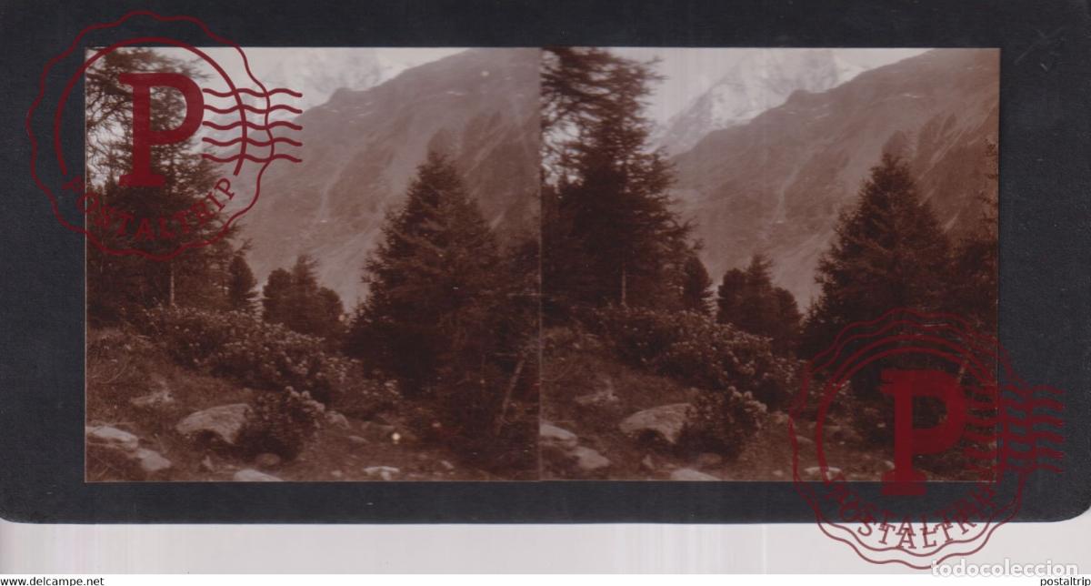 Fotograf&iacute;a antigua: TIROL ST GERTRUD ALPENROSE Tyrol Trentino-Alto Adige ITALY +-17*9CM ESTEREOSCOPICA STEREOSCOPIC fra