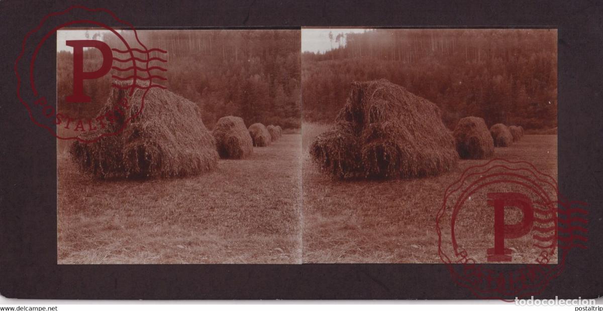 Fotografia antica: PUSTERTHAL TYROL Italy ITALIA Trentino-Alto Adige +-17*9CM ESTEREOSCOPICA STEREOSCOPIC francestere