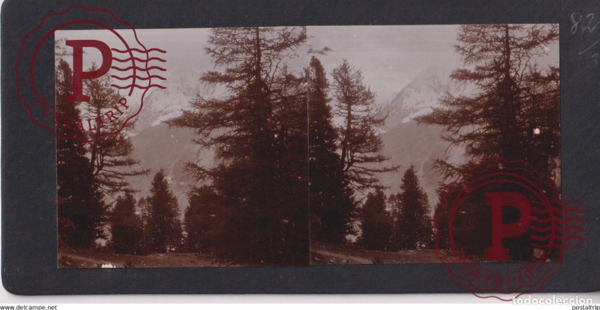 Fotografia antica: SULDENTHAL ST GERTRUD &Ouml;sterreich AUSTRIA TIROL TYROL AUTRICHE +-17*9CM ESTEREOSCOPICA STEREOSCOPIC