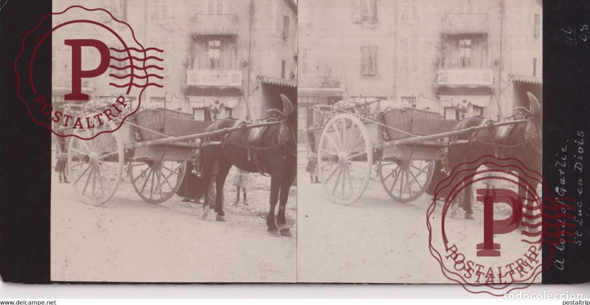 Fotograf&iacute;a antigua: 26 Dr&ocirc;me ST SAINT Luc-en-Diois GARLIC FRANCE +-17*9CM ESTEREOSCOPICA STEREOSCOPIC francestereo