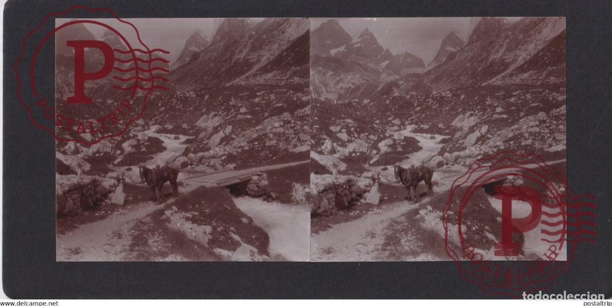 Alte Fotografie: COL DE LA VANOISE CHEVAL PFERD MULE 73] Savoie +-17*9CM ESTEREOSCOPICA STEREOSCOPIC francestereo