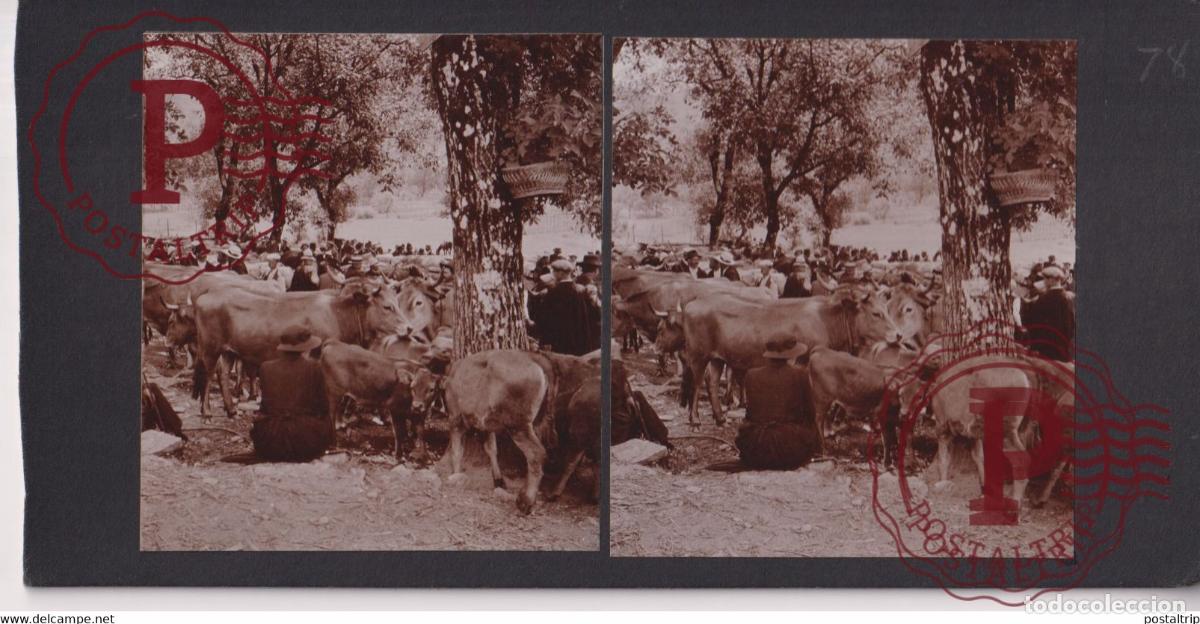 Alte Fotografie: 12] Aveyron GRANDE VABRES FRANCE +-17*9CM ESTEREOSCOPICA STEREOSCOPIC francestereo