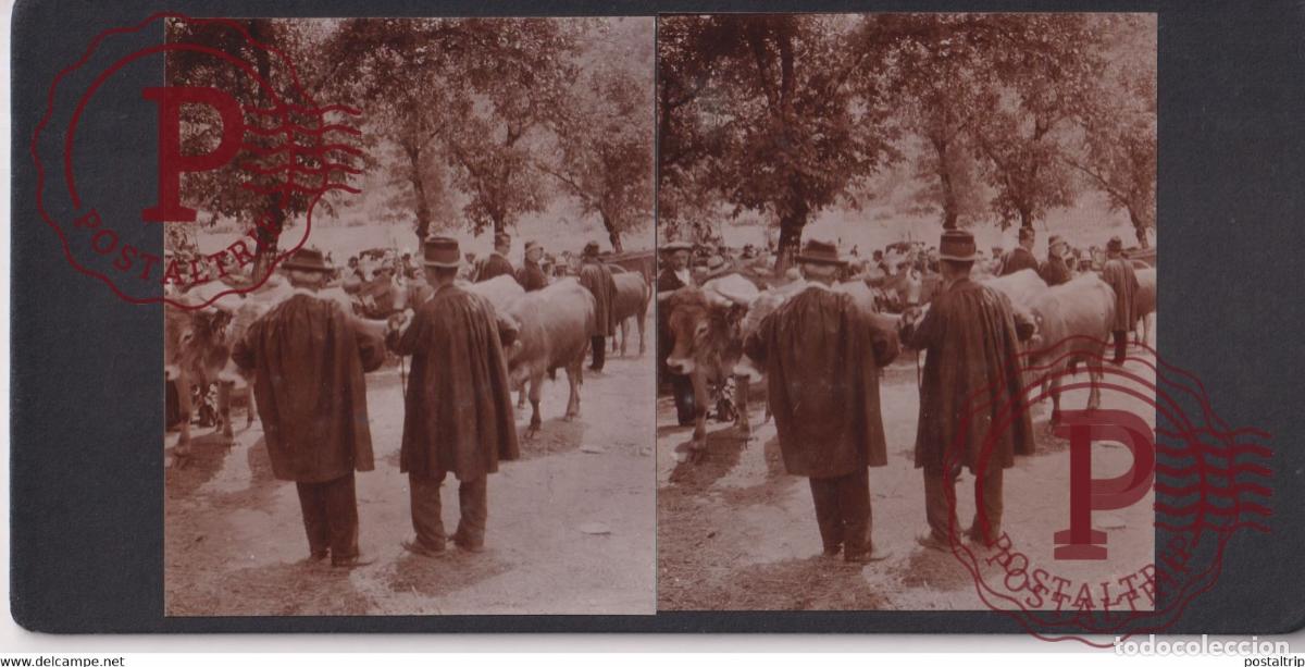 Fotograf&iacute;a antigua: 12] Aveyron GRAND VABRE MARCHE DE BETES CATTLE FAIR MARKET FRANCE +-17*9CM ESTEREOSCOPICA STEREOSC