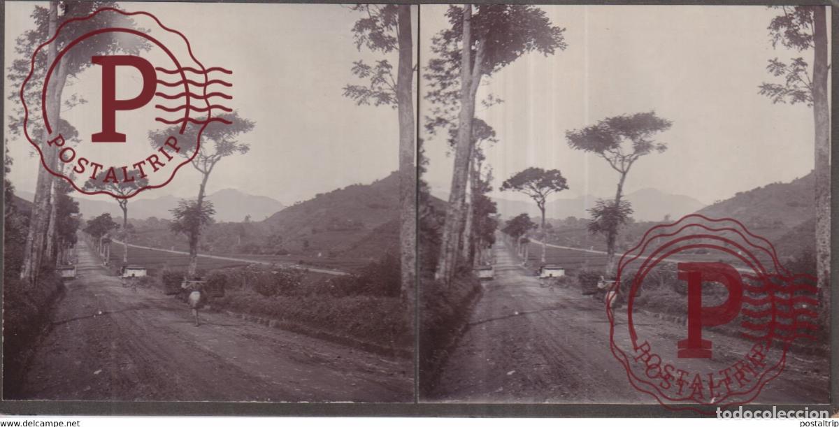 Fotografia antica: WEG BANDOENG KOPPO ASIA INDONESIE INDONESIA Dutch East Indies +-18*9CM ESTEREOSCOPICA STEREOSCOPIC