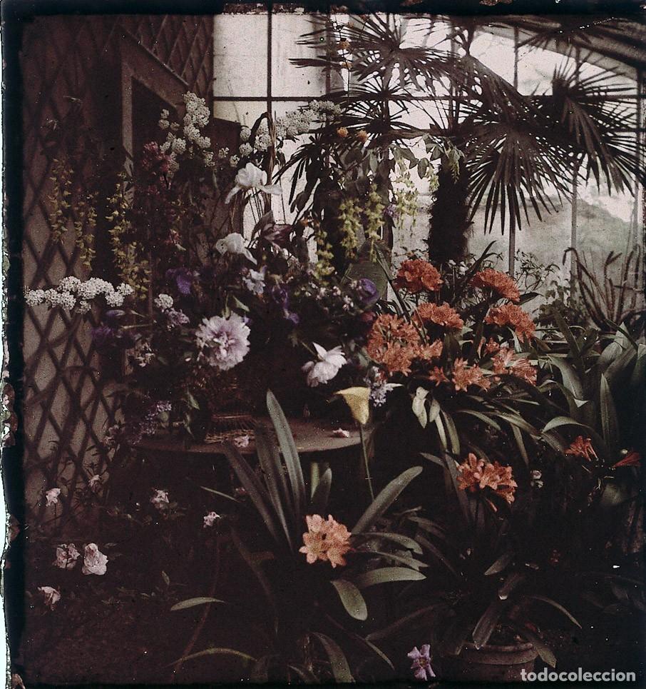 Fotograf&iacute;a antigua: AUTOCROMO DE CRISTAL 6 X 9 cm.