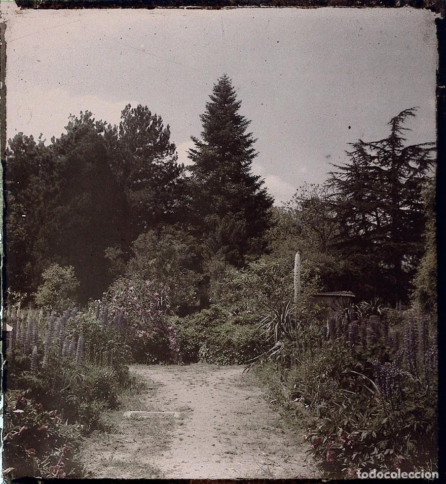 Fotograf&iacute;a antigua: AUTOCROMO DE CRISTAL 6 X 9 cm.