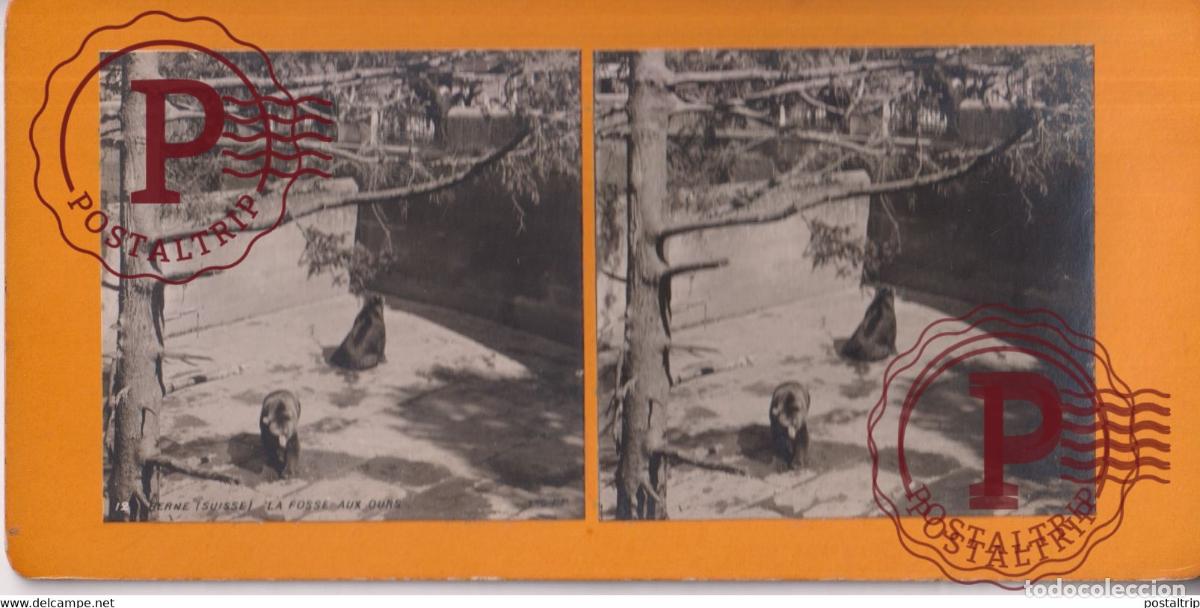 Fotograf&iacute;a antigua: BERNE LA FOSSE AUX OURS SUIZA SWITZERLAND +-17.5*8.5cm ESTEREOSCOPICA STEREOSCOPIC