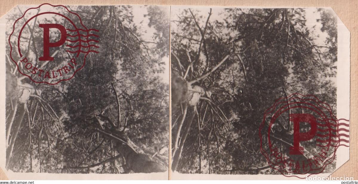 Alte Fotografie: +-17.5*8.5CM ESTEREOSCOPICA STEREOSCOPIC