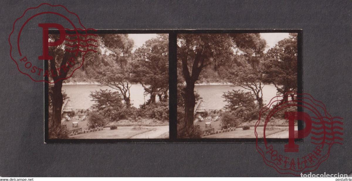 Alte Fotografie: UK River Dart Country Park DUDLEY DEVONSHIRE ENGLAND +-17.5*8.5CM ESTEREOSCOPICA STEREOSCOPIC