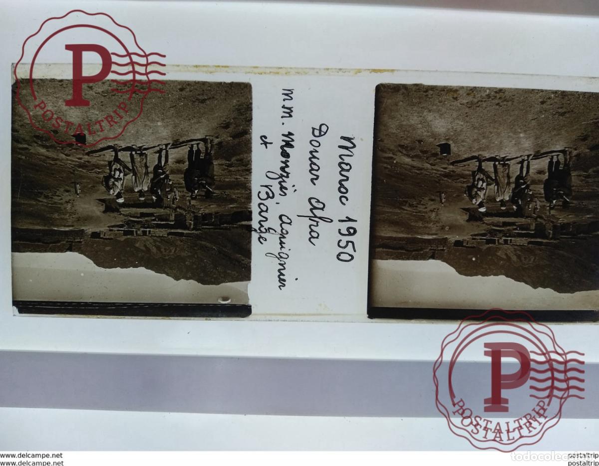 Alte Fotografie: Algerie St&eacute;r&eacute;o sur verre plaque de maroc 1950 donar afra mm mongris aguignier et barge