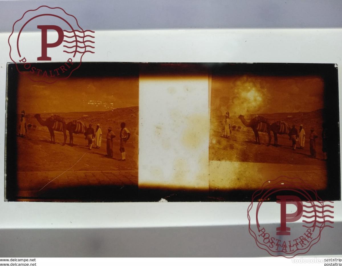 Alte Fotografie: Algerie St&eacute;r&eacute;o sur verre plaque de