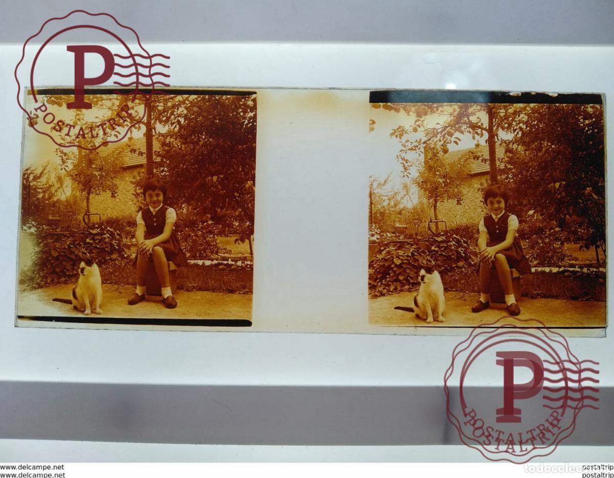 Alte Fotografie: St&eacute;r&eacute;o sur verre plaque de Verre