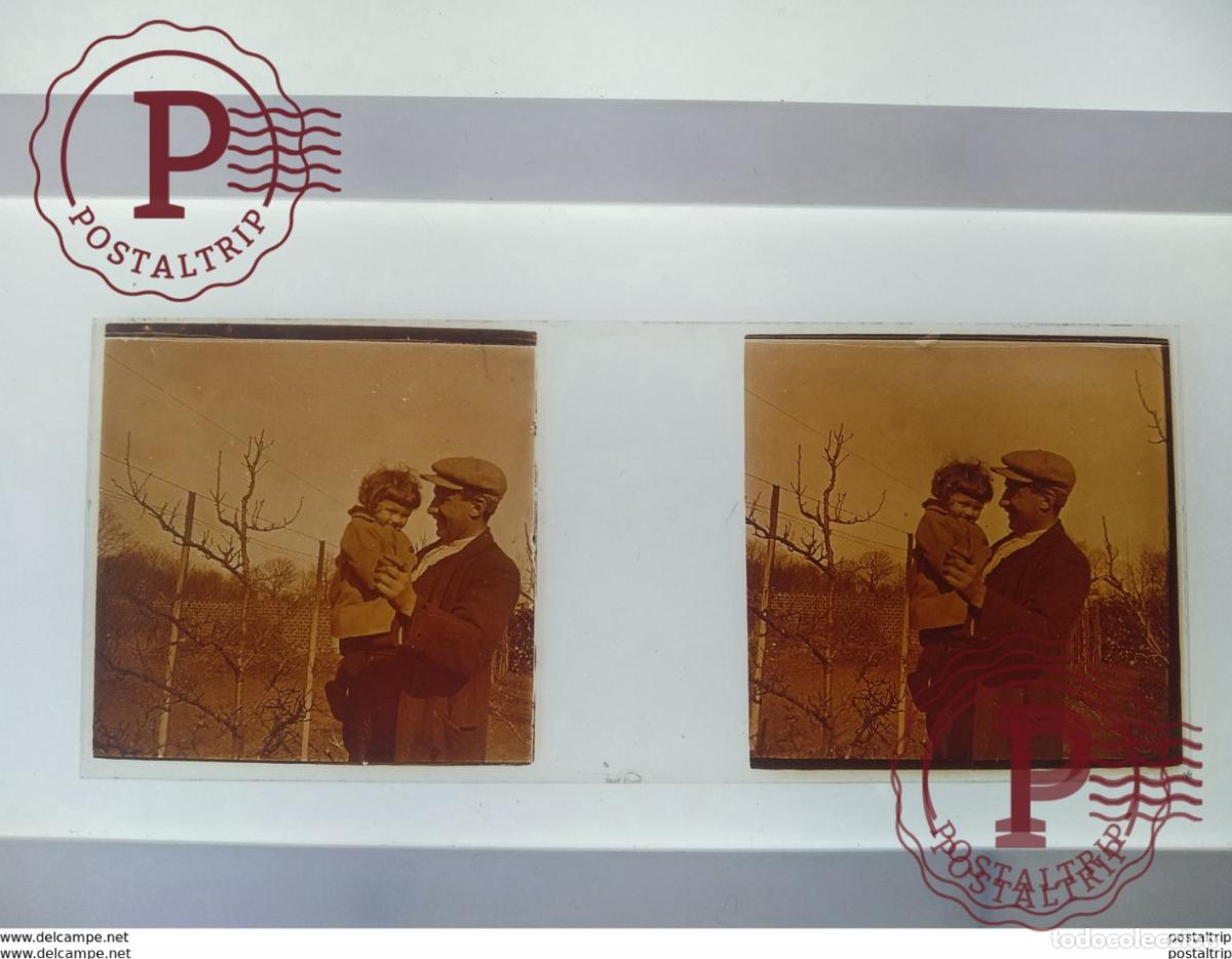 Fotograf&iacute;a antigua: St&eacute;r&eacute;o sur verre plaque de Verre