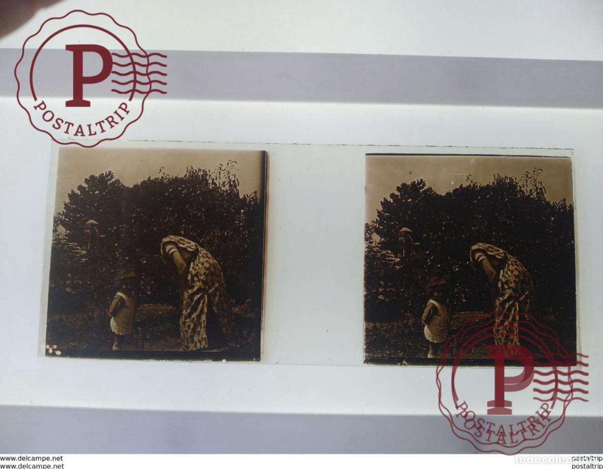 Fotograf&iacute;a antigua: St&eacute;r&eacute;o sur verre plaque de Verre