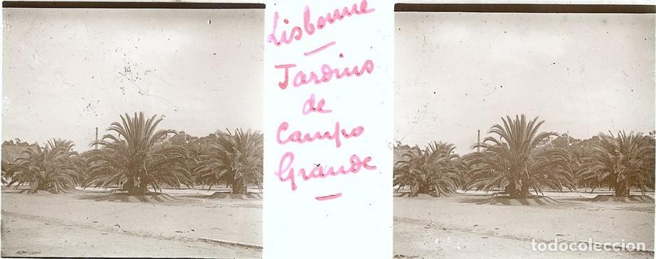 Fotograf&iacute;a antigua: PORTUGAL LISBOA ESTEROSCOPICA DE CRISTAL 4.5 X 10.7 cm.