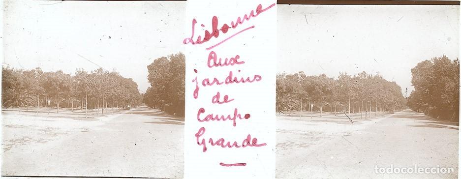 Fotograf&iacute;a antigua: PORTUGAL LISBOA ESTEROSCOPICA DE CRISTAL 4.5 X 10.7 cm.