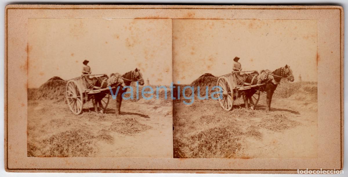 Fotograf&iacute;a antigua: Alfara. Antiqu&iacute;sima foto. Labrador con su carro y su caballo Al fondo la iglesia Siglo XIX