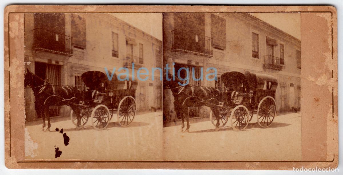 Fotograf&iacute;a antigua: Godella Val&egrave;ncia. Antiqu&iacute;sima foto. Carro y caballo en la puerta de casa. Perrito. Siglo XIX