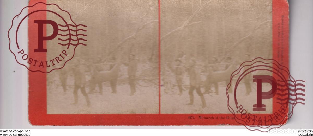 Photographie ancienne: MONARCH OF THE HILLS HUNTING CASSE st&eacute;r&eacute;oscopique st&eacute;r&eacute;oscope carte photo st&eacute;r&eacute;o