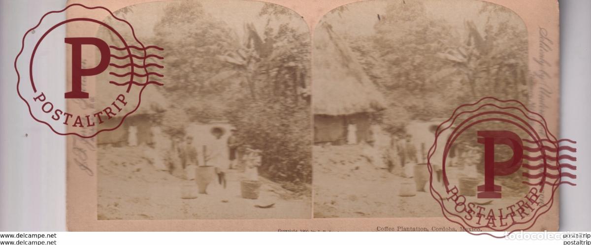Photographie ancienne: COFFEE PLANTATION CORDOBA MEXICO PLANTACION DE CAFE MEXIQUE st&eacute;r&eacute;oscopique st&eacute;r&eacute;oscope carte photo