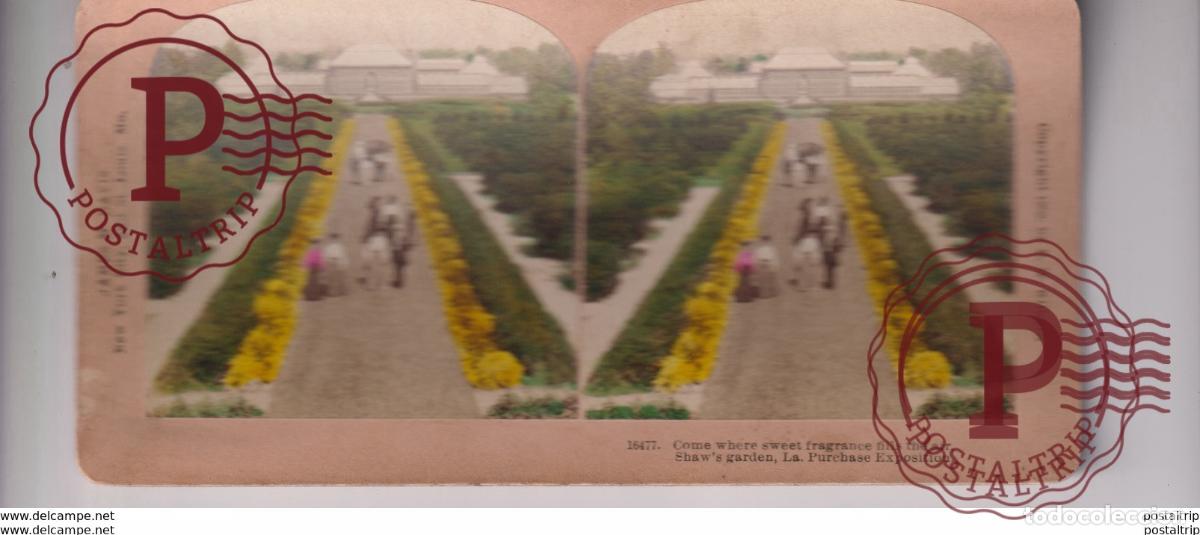 Photographie ancienne: SHAWS GARDEN ST LOUIS PURCHASE EXHIBITION B W KILBURN st&eacute;r&eacute;oscopique st&eacute;r&eacute;oscope carte photo st&eacute;