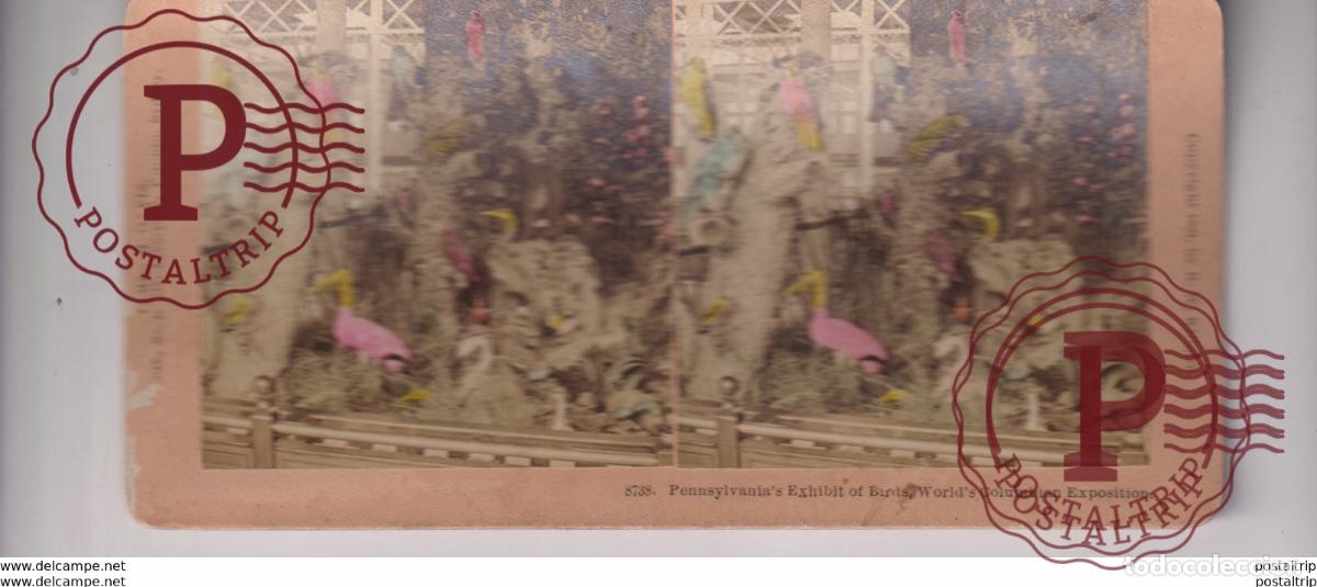 Photographie ancienne: BIRDS OISEAUX PENNSYLVANIA EXHIBIT COLUMBIAN EXHIBITION B W KILLBURN st&eacute;r&eacute;oscopique st&eacute;r&eacute;oscope cart